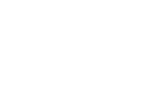 languagesnlogo